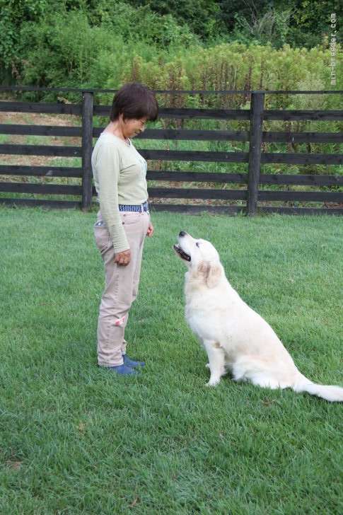 遊び&トレーニング